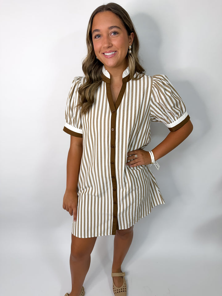 Taupe Striped Dress